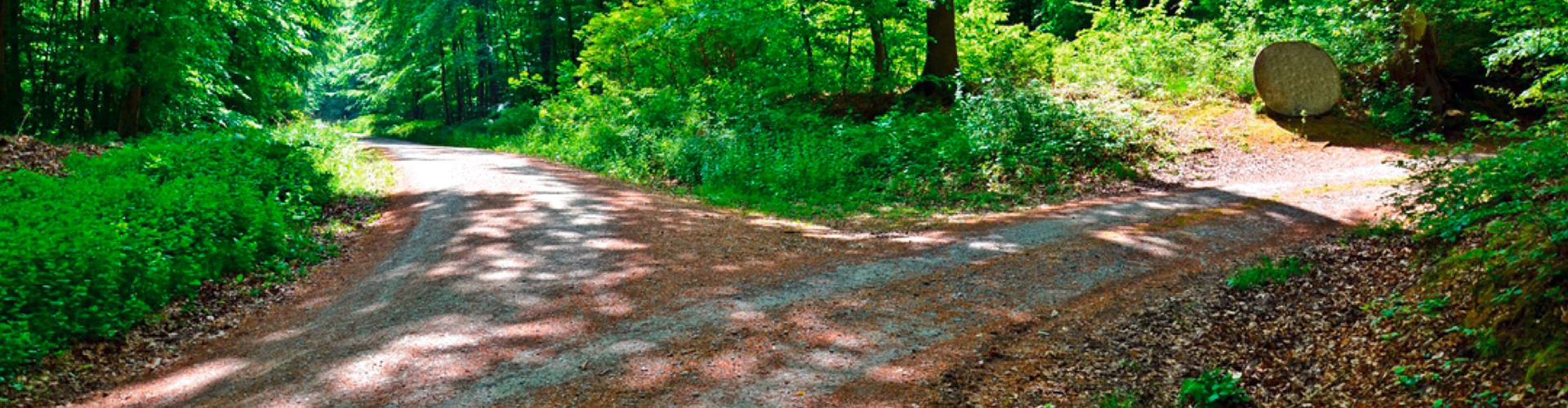 theralogy-wald theralogy-wald